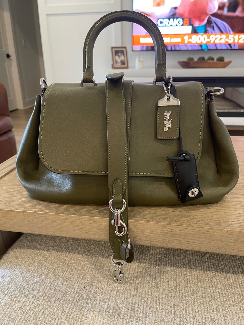 SOLD…….Coach Sloughy Rogue - Picture 1 of 5